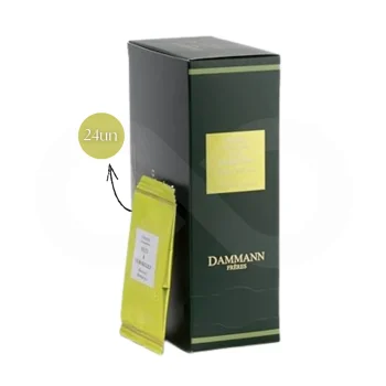 DAMMANN FRÈRES® Infusion Nuit à Versailles 24 uds.